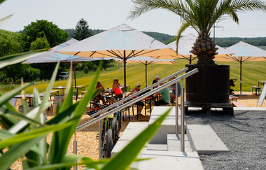 WeinbergStrand am Heuchelberg - Weinausschank der Heuchelberg Weingärtner | Schwaigern | HeilbronnerLand | © Heuchelberg Weingärtner eG