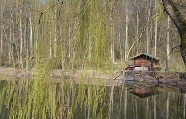 Ufer des Hilsbacher Sees mit Hütte