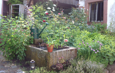 Hofladen Zur Mühle in Hirschberg-Großsachsen | © Hofladen Zur Mühle Hirschberg