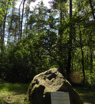 Hünenstein | © Landratsamt Rhein-Neckar-Kreis