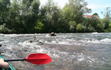 Kajakverleih in Edingen-Neckarhausen | © Paddel- und Rudersport Diecknann