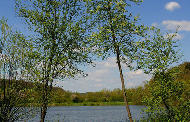 Katzenbachsee | Pfaffenhofen | HeilbronnerLand | © Gemeinde Pfaffenhofen