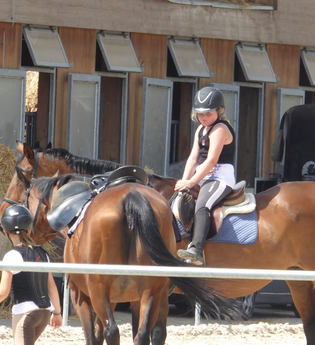 Kollerinsel Pferdeland in Brühl | © Beate Otto