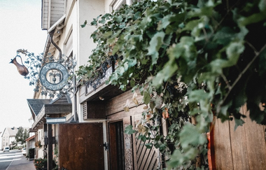 Blick auf die grün bewachsene Außenfassade  und den Eingang | © Zipse