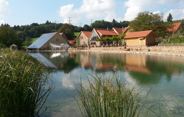 Landgut Lingental in Leimen