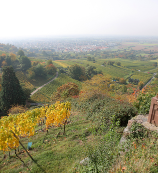 Madonnenstatue auf dem Madonnenberg, Schriesheim | © Bernhard Kreutzer