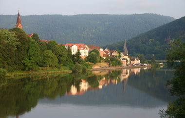 Stadtansicht mit Fluss und Kirchen | © Martin Ernst