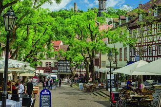 Marktplatz mit Personen und den grünen Bäumen. | © Kay Müller