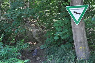 Naturdenkmal „Steinerne Rinne“ an der Meckesheimer Straße | © Unbekannt