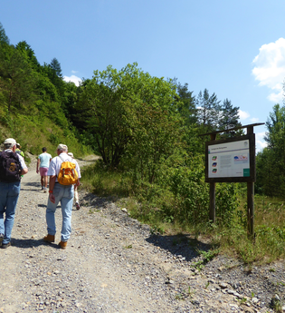 Naturlehrpfad Steinbruch Nußloch