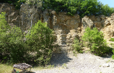 Naturlehrpfad Steinbruch Nußloch