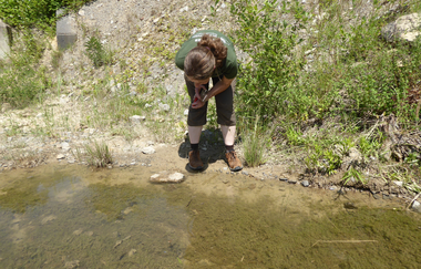 Naturlehrpfad Steinbruch Nußloch
