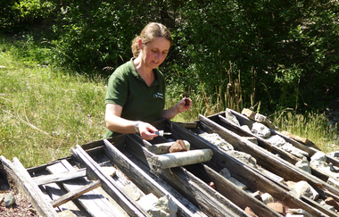 Naturlehrpfad Steinbruch Nußloch