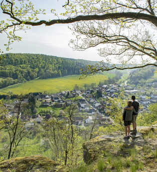 Neckarblick | © Touristikgemeinschaft odenwald e.V./Barbara Wagner