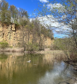 Naturschutzgebiet „Kallenberg“