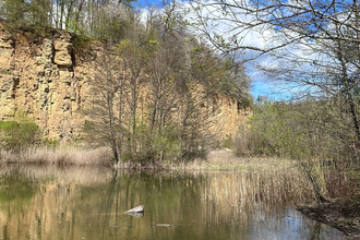 Naturschutzgebiet „Kallenberg“