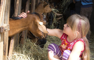 Nußlocher Ziegenkäsehof | © Dorothea Burkhardt