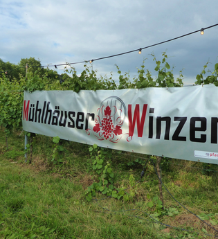 Obst- und Edelbrände - Weinbau Rühl Mühlhausen
