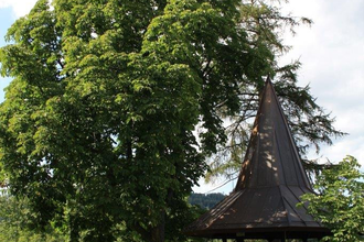 Ottohöhe (185 m) bei Eberbach