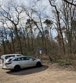 Parkplätze vor dem Wald