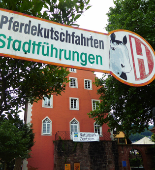 Pferdekutschfahrten Björn Schmitt Eberbach