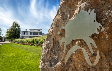 Blick in die Einfahrt des Weinguts Eberbach-Schäfer mit dem Symbol des Ebers befestigt an einem Stein. | © Privatweingut Eberbach-Schäfer