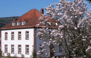 Rathaus Heddesbach | © Gemeinde Heddesbach