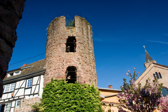 Rosenturm Eberbach | © Stadt Eberbach/Andreas Held