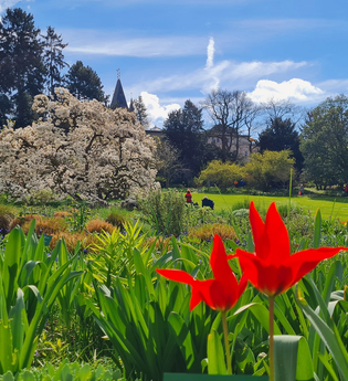 Schau- und Sichtungsgarten Hermannshof | © Cornelia Eicher