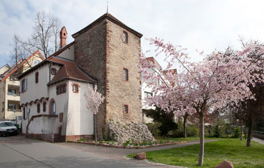 Stadtmuseum Dörndl Wiesloch | © Beate Otto