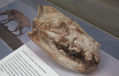 Tongrube Unterfeld südlich von Rauenberg | © Dorothea Burkhardt