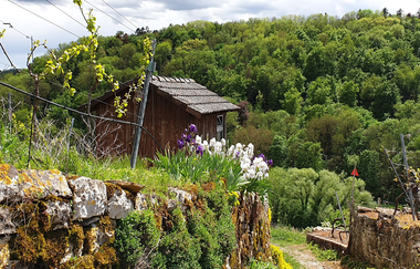 Panoramaweg Hölderlin & Wein | Lauffen am Neckar | HeilbronnerLand | © Stadt Lauffen am Neckar