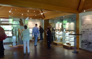 Urgeschichtliches Museum in Mauer | © Beate Otto