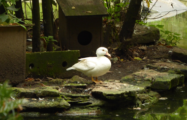 Vogelpark St. Leon-Rot | © Landratsamt Rhein-Neckar-Kreis