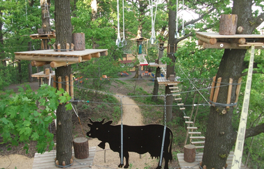 Waldkletterpark Weinsberg - 12 Routen vom Einsteiger bis Profi | HeilbronnerLand | © Waldkletterpark Weinsberg GmbH