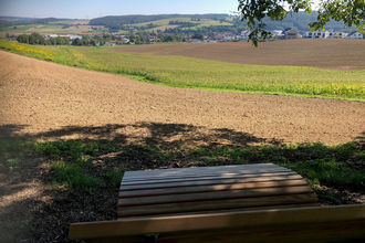 Waldsofa "Gewann Hübschanze" Zuzenhausen | © Gemeinde Zuzenhausen