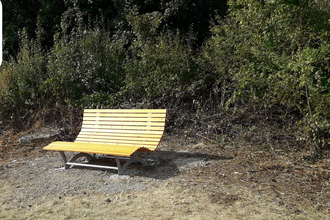 Waldsofa auf einem grasbewachsenen Weg am Waldrand | © Stadt Sinsheim