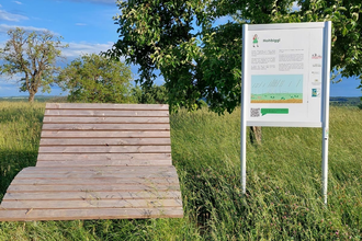 Waldsofa aus Holz in einer grünen Wiese unter blauem Himmel | © Alisa-Heimat-erleben