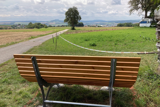 Waldsofa Rohrbach | © Stadt Sinsheim