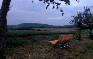 Waldsofa am Feldrand bei Abendstimmung | © Stadt Sinsheim