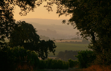 Wallfahrtskapelle Letzenberg und Aussichtspunkt (247 m) | © Beate Otto