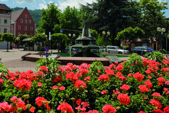 Wappenbrunnen | © Stadt Eberbach