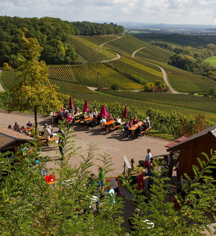 Weinausschank im Zweifelberg