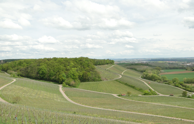 Weinausschank im Zweifelberg