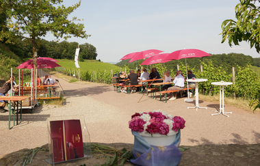 Weinausschank in den Weinbergen am Zweifelberg | Weingärtner Stromberg-Zabergäu | Brackenheim | HeilbronnerLand | © Weingärtner Stromberg-Zabergäu