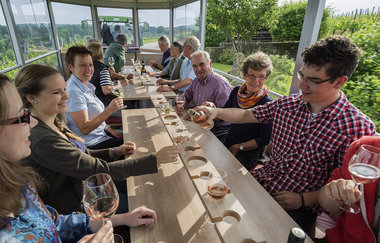 Planwagenfahrt durch die Weinberge | Weingärtner Stromberg-Zabergäu | Brackenheim | HeilbronnerLand | © Weingärtner Stromberg-Zabergäu eG