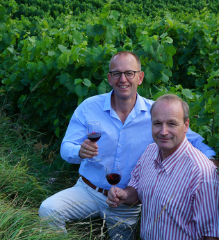 Weingut Adam Müller in Leimen | © Weingut Adam Müller in Leimen