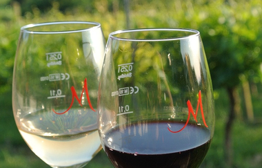 Weingut Adam Müller in Leimen | © Weingut Adam Müller in Leimen