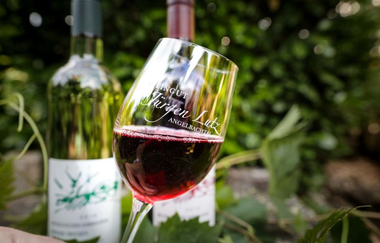 Ein Glas Rotwein | © Unbekannt