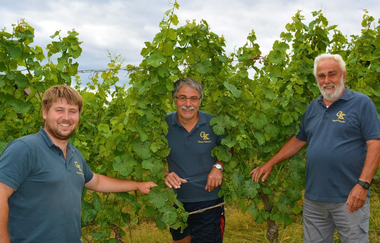 Weingut Kippenhahn in Weinheim | © Weingut Kippenhan